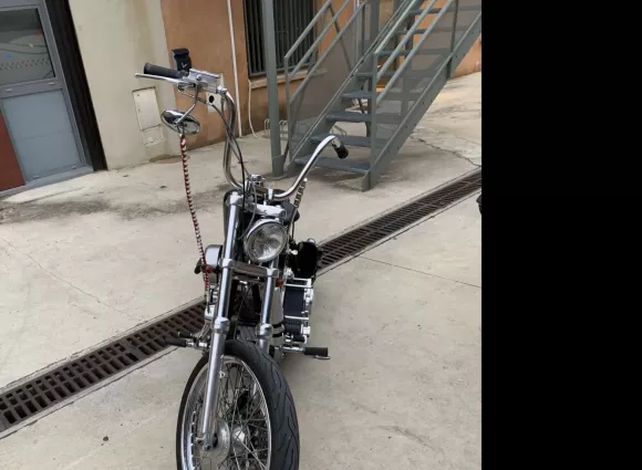 SOFTAIL 91 SUICIDE