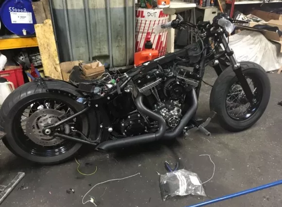 Harley davidson softail black line